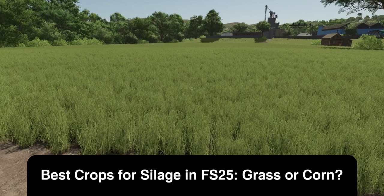 Best Crops for Silage in FS25: Grass or Corn?
